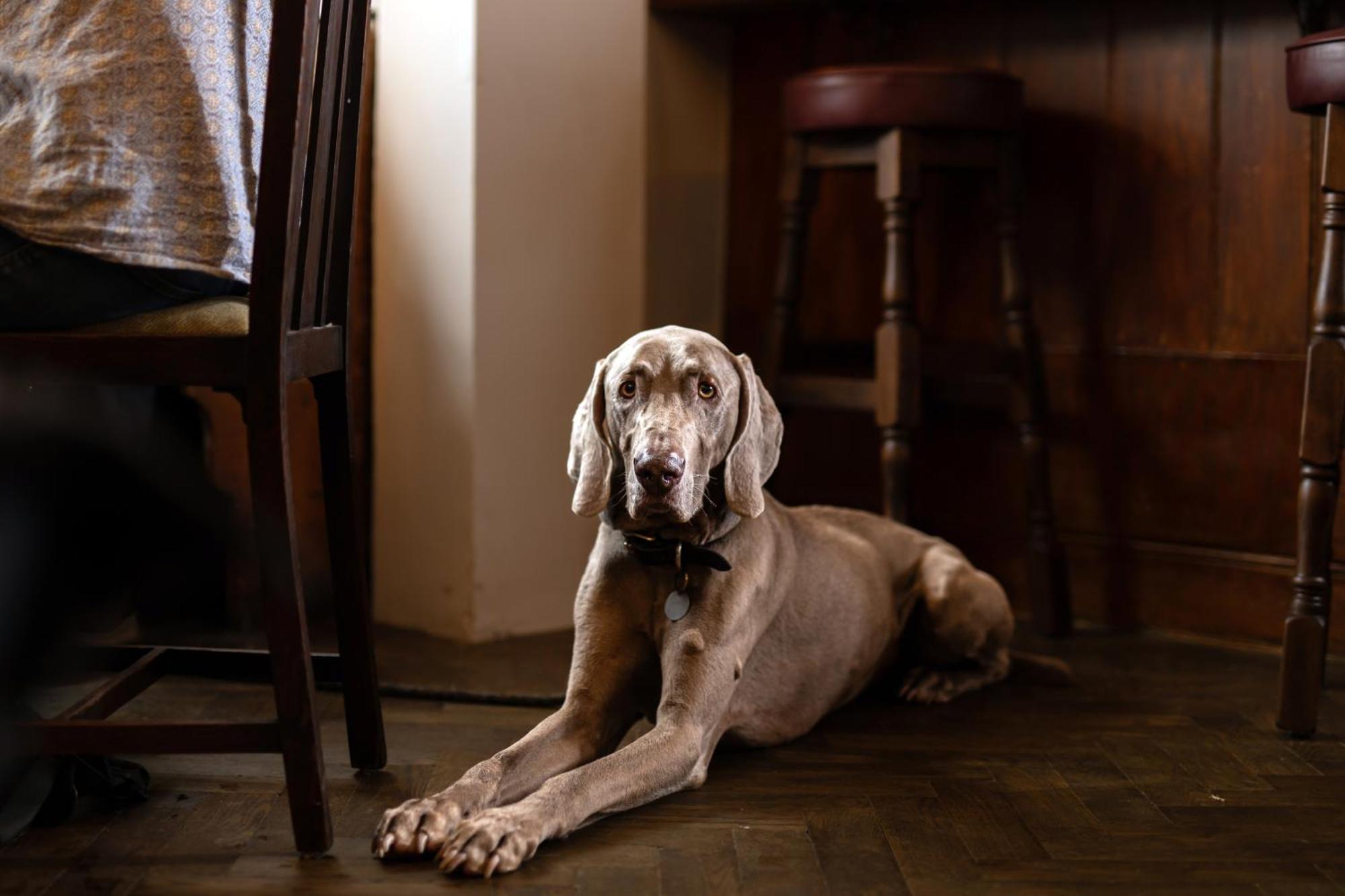 The Lamb Inn Hindon Екстериор снимка